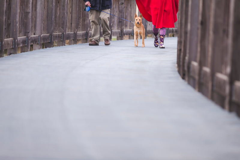 Persoon wandelt met haar hond aan de riem op straat
