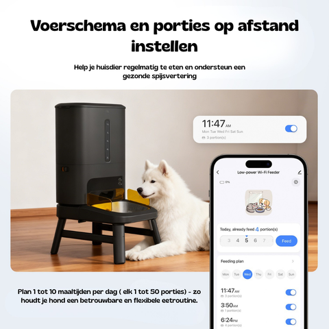 Witte Samojeed naast de Titan voederbak terwijl de app het voerschema en porties op afstand instelt