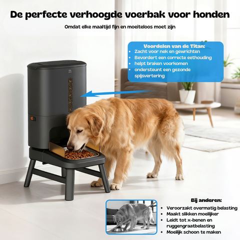 Hond eet uit de zwarte Titan voederbak, de ideale verhoogde automatische voederbak voor honden