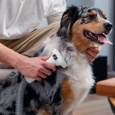 Witte SmartPaw FurVac ontharingsstofzuiger met opzetstukken op een houder op een houten tafel