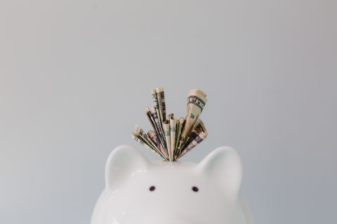 Verdien geld door slimme huisdierproducten te promoten